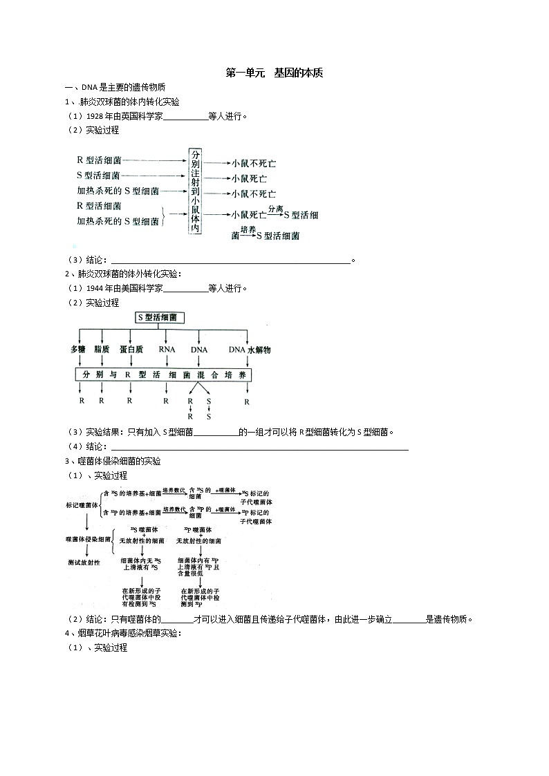 高中生物专题2 基因的本质和表达-【复习宝典】2021年高考生物必修知识点归纳（默写版）01