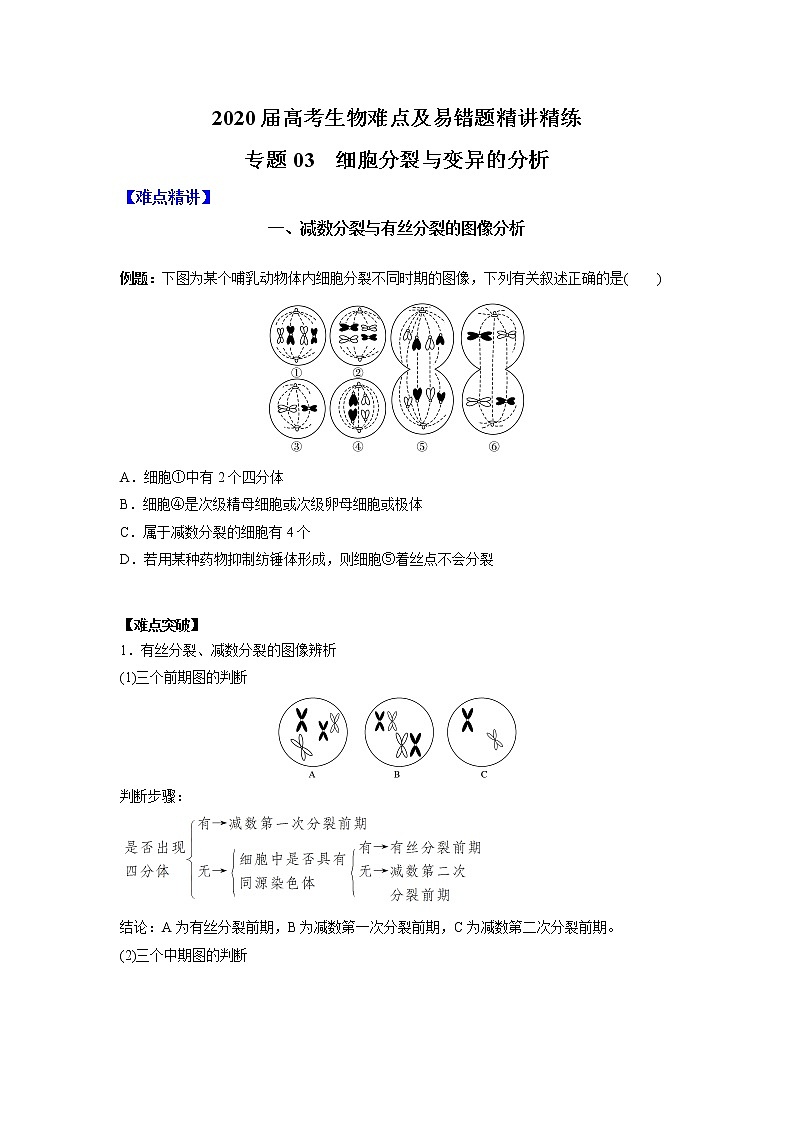 高中生物专题03 细胞分裂与变异的分析（无答案）第1页