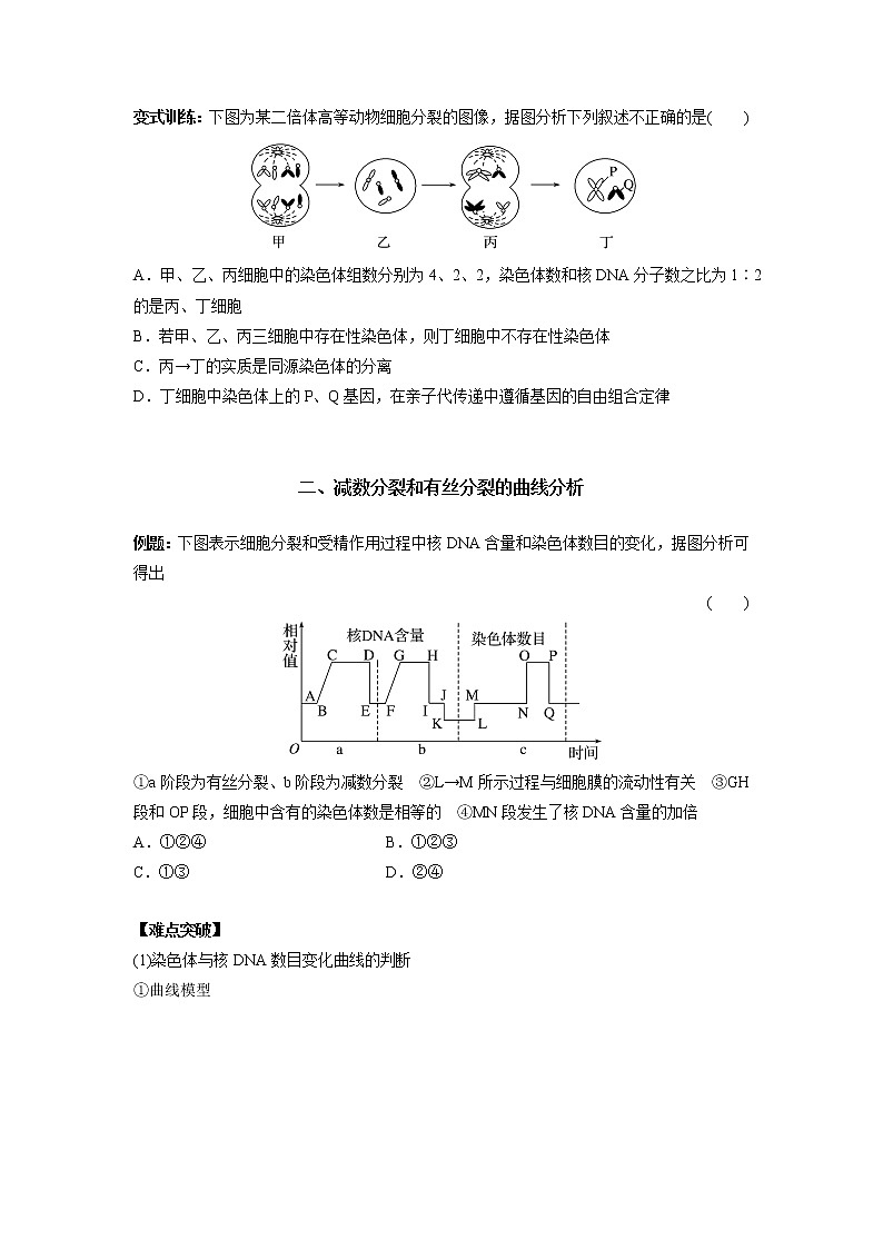 高中生物专题03 细胞分裂与变异的分析（无答案）第3页