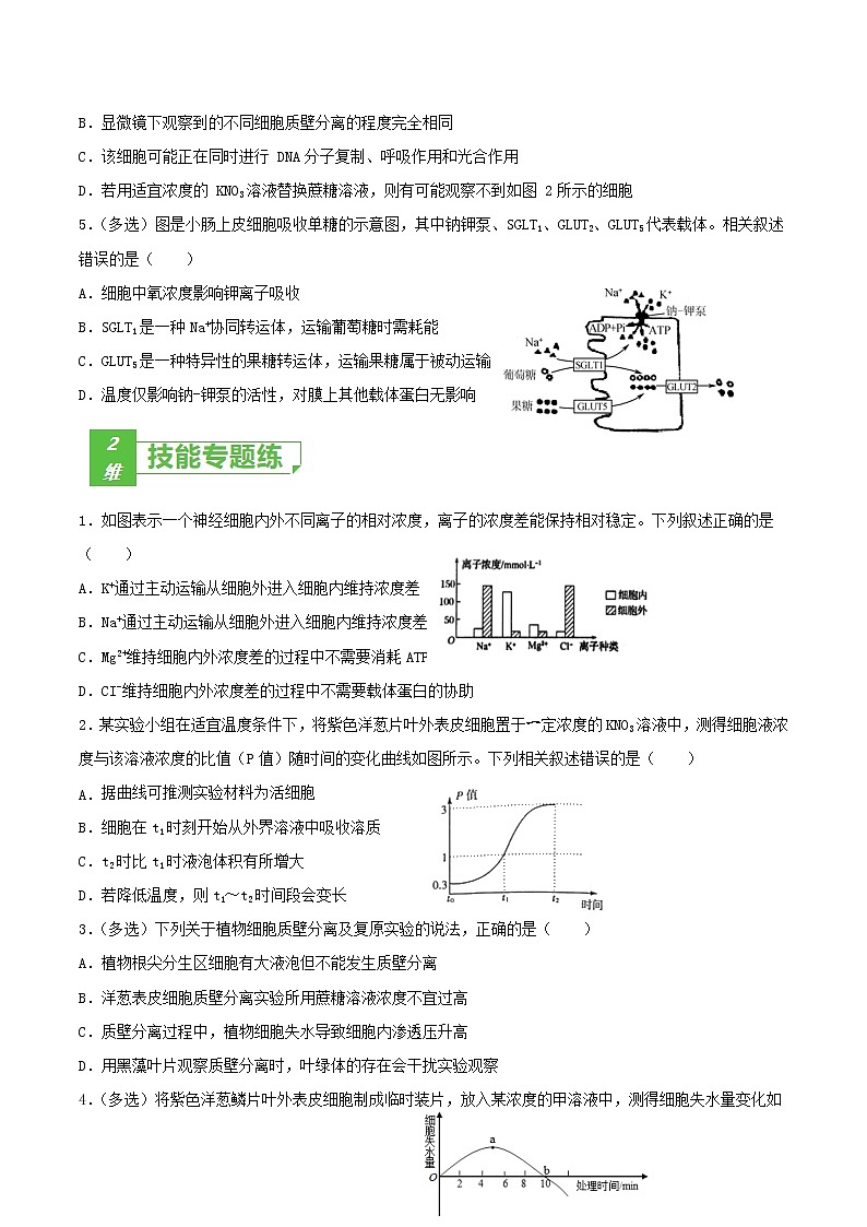 高中生物考点03 物质运输-2022年高考生物一轮复习小题多维练（新高考专用）（无答案）第2页