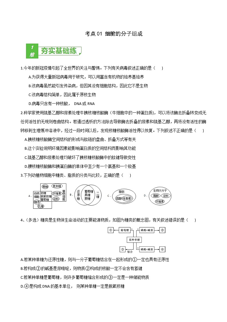 高中生物考点01 细胞的分子组成-2022年高考生物一轮复习小题多维练（新高考专用）（无答案）第1页
