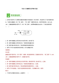 高中生物考点02 细胞的结构和功能-2022年高考生物一轮复习小题多维练（新高考专用）（有答案）