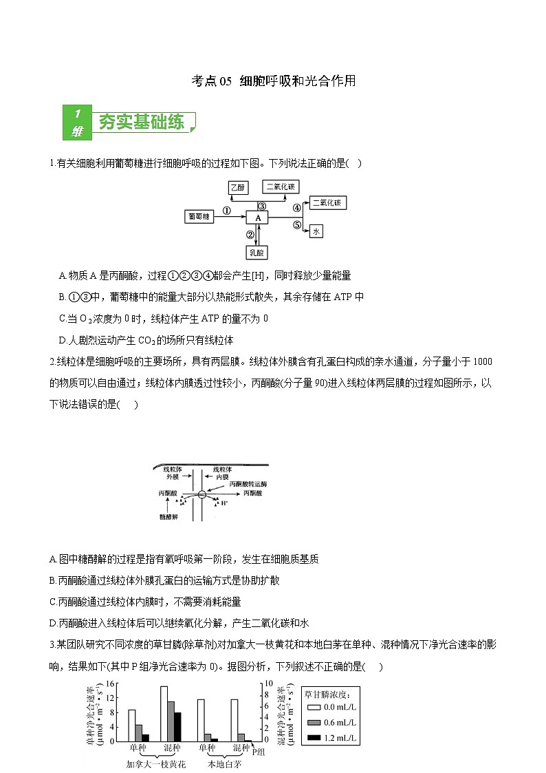 高中生物考点05 细胞呼吸与光合作用-2022年高考生物一轮复习小题多维练（新高考专用）（无答案）第1页
