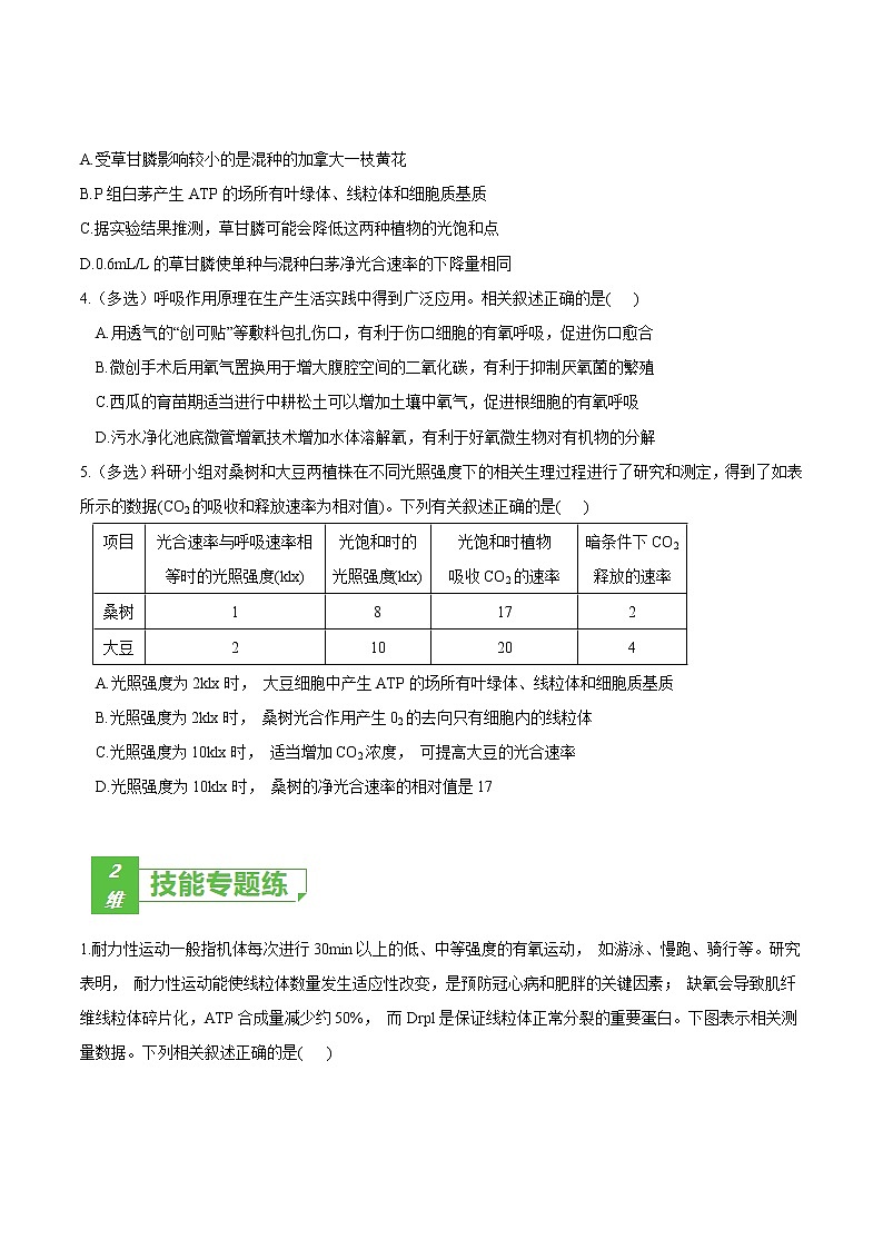 高中生物考点05 细胞呼吸与光合作用-2022年高考生物一轮复习小题多维练（新高考专用）（无答案）第2页