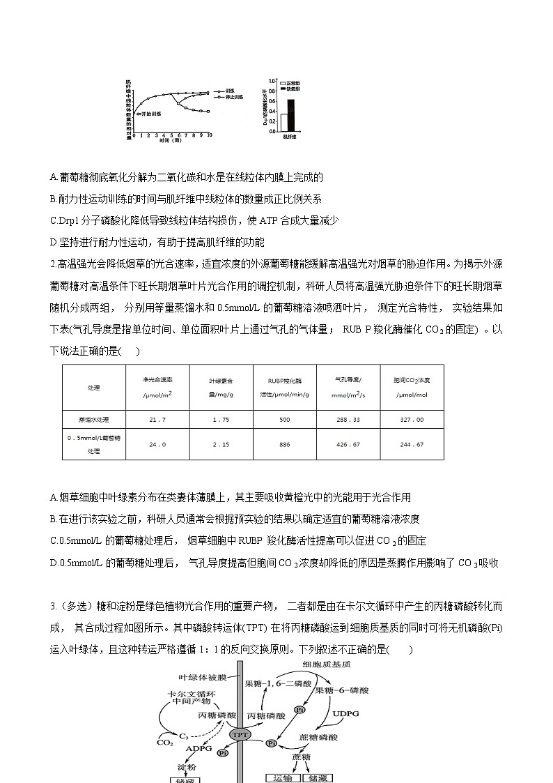 高中生物考点05 细胞呼吸与光合作用-2022年高考生物一轮复习小题多维练（新高考专用）（无答案）第3页