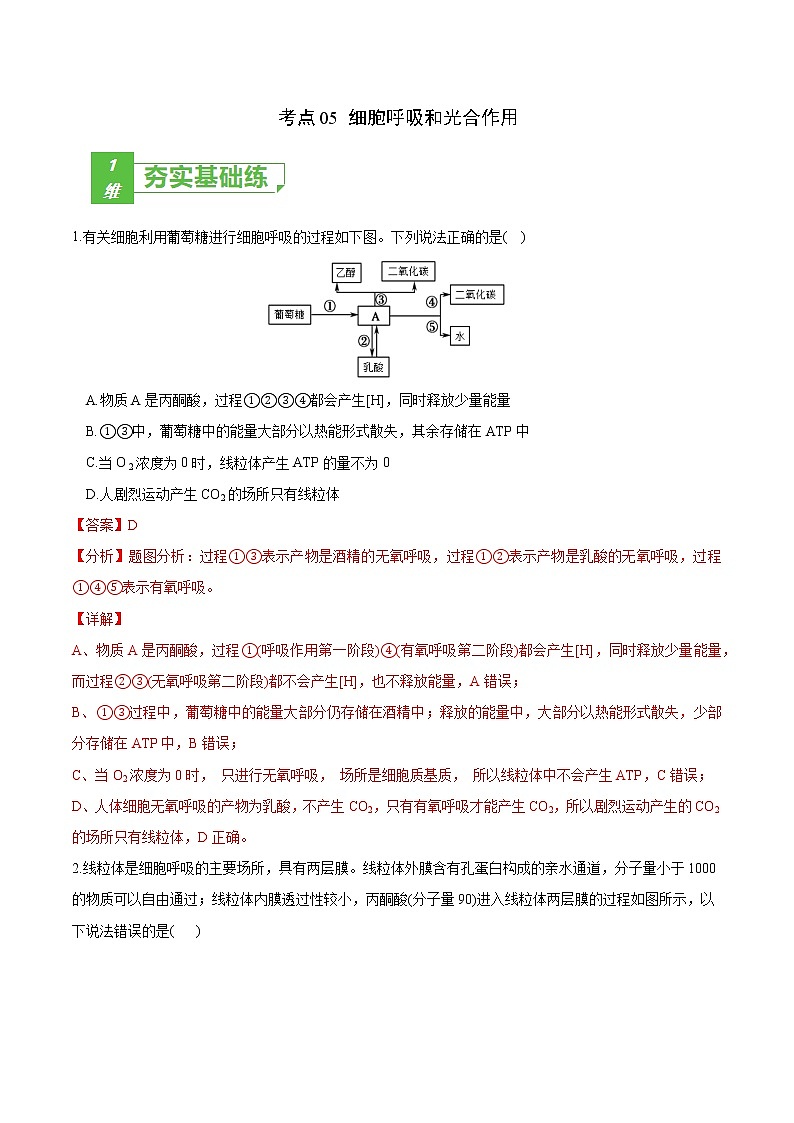 高中生物考点05 细胞呼吸与光合作用-2022年高考生物一轮复习小题多维练（新高考专用）（有答案）第1页