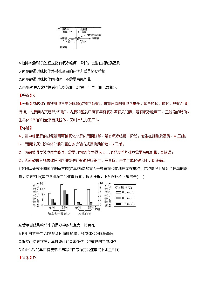 高中生物考点05 细胞呼吸与光合作用-2022年高考生物一轮复习小题多维练（新高考专用）（有答案）第2页
