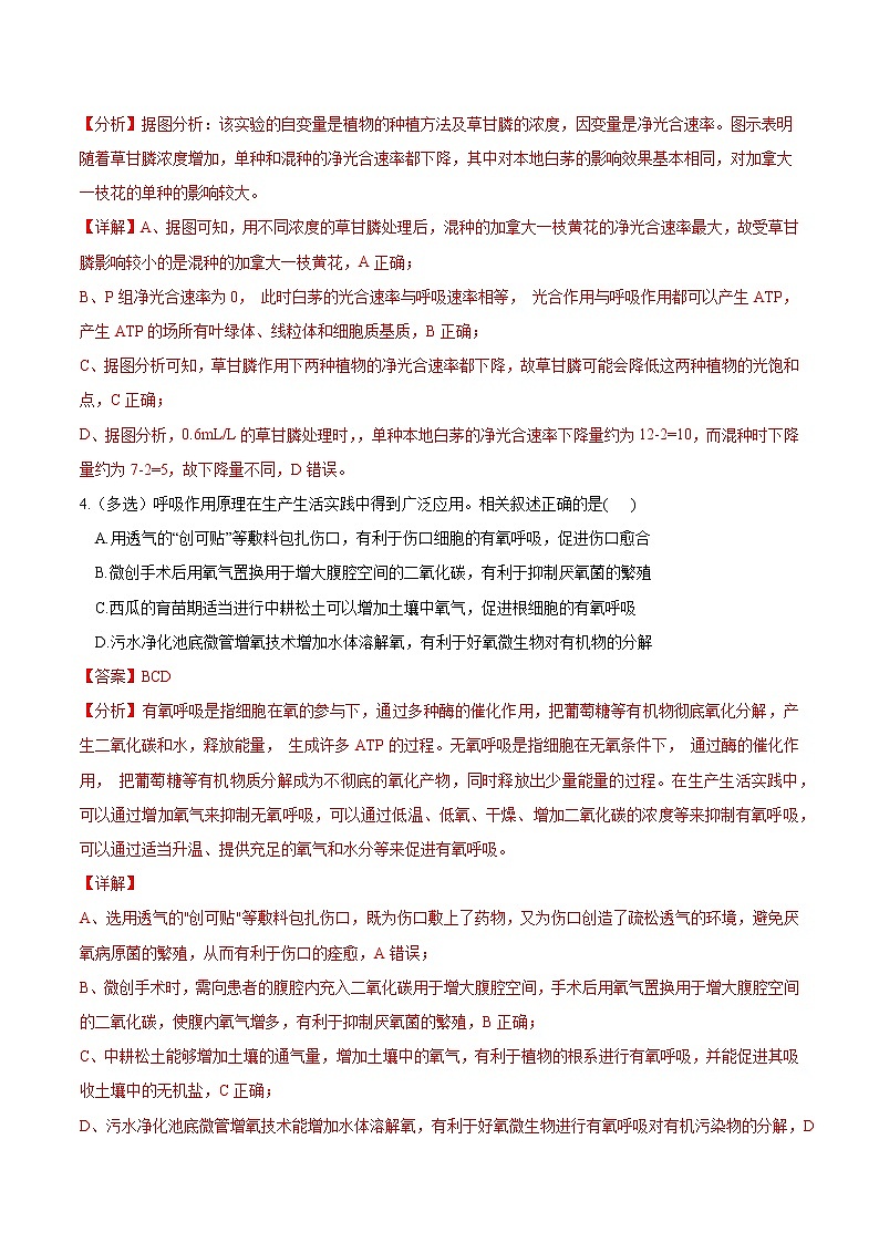 高中生物考点05 细胞呼吸与光合作用-2022年高考生物一轮复习小题多维练（新高考专用）（有答案）第3页