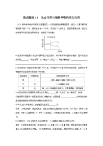 高中生物热点微练11　二轮专题光合作用与细胞呼吸的综合运用