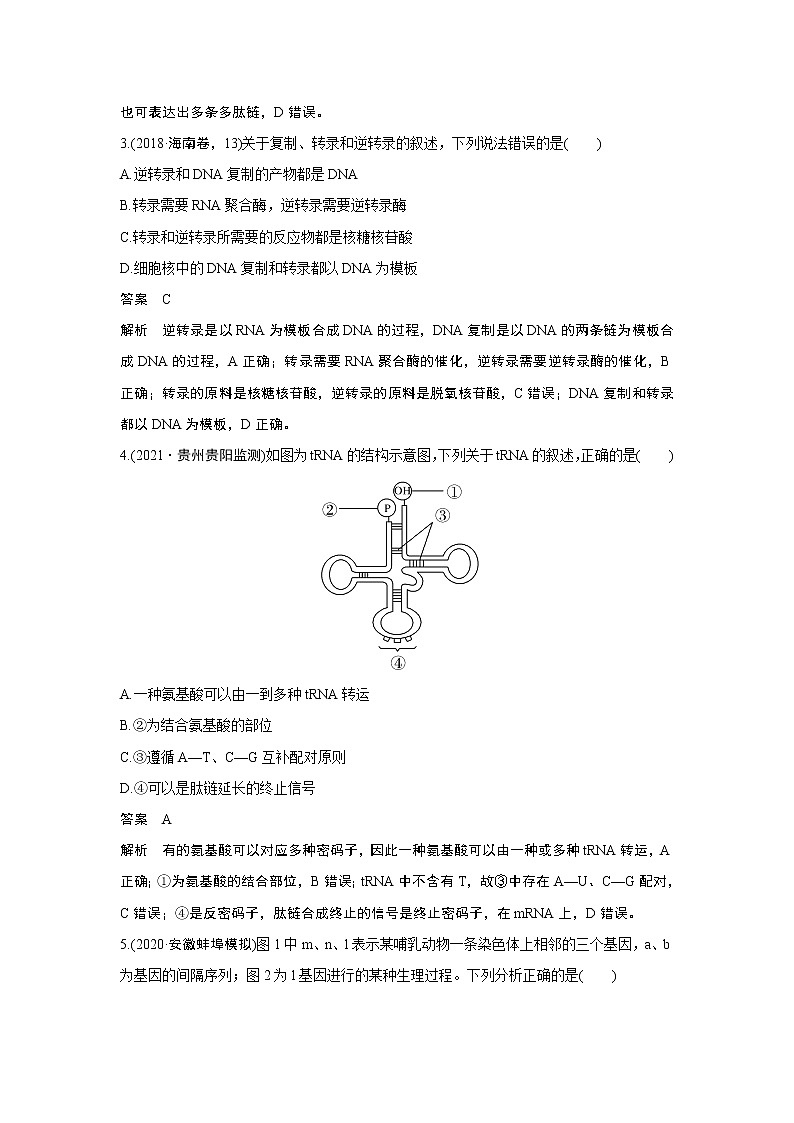 高中生物热点微练19　二轮专题基因表达02