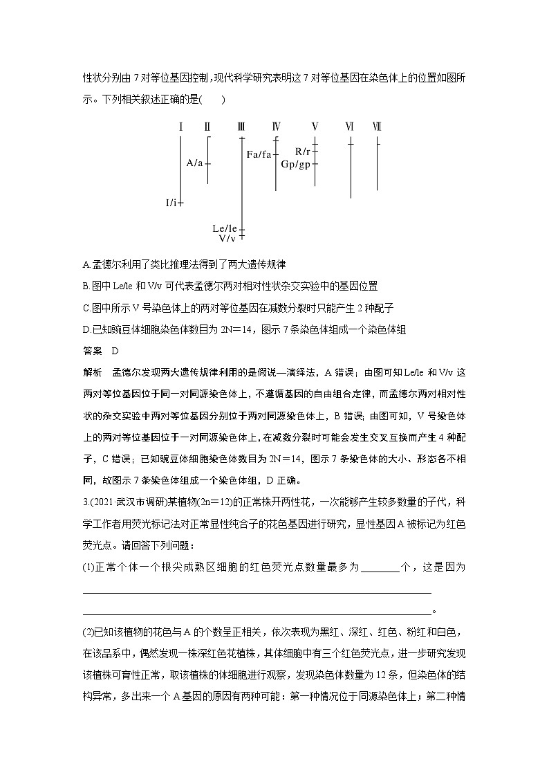 高中生物热点微练16　二轮专题探究不同的基因在常染色体上的位置第2页
