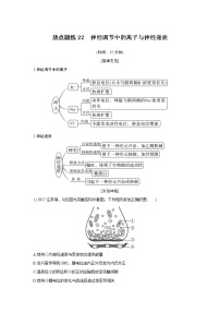 高中生物热点微练22　二轮专题神经调节中的离子与神经递质