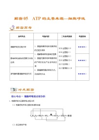 高中生物解密05 ATP的主要来源——细胞呼吸（讲义）-【高频考点解密】2021年高考生物二轮复习讲义+分层训练