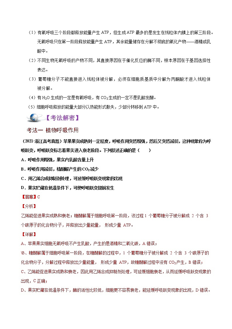 高中生物解密05 ATP的主要来源——细胞呼吸（讲义）-【高频考点解密】2021年高考生物二轮复习讲义+分层训练第3页
