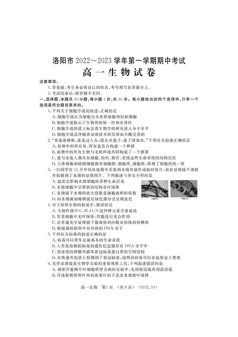 2022-2023洛阳市高一上学期期中生物试卷及答案第1页