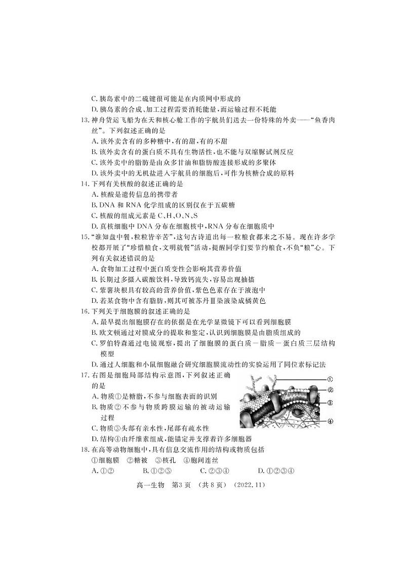 2022-2023洛阳市高一上学期期中生物试卷及答案第3页
