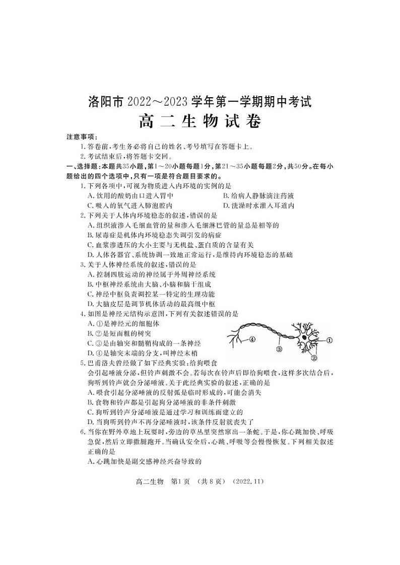 2022-2023洛阳市高二上学期期中生物试卷及答案01