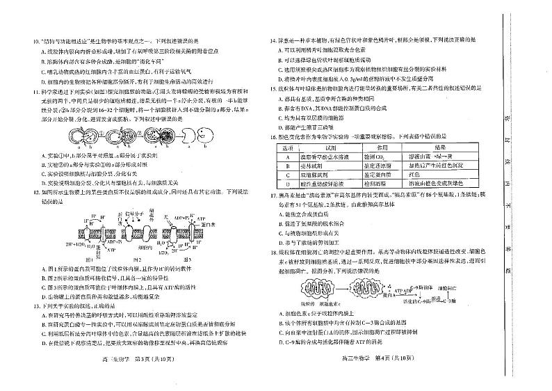 山西省太原市2022-2023学年高三上学期期中 生物试卷及答案（含答题卡）02