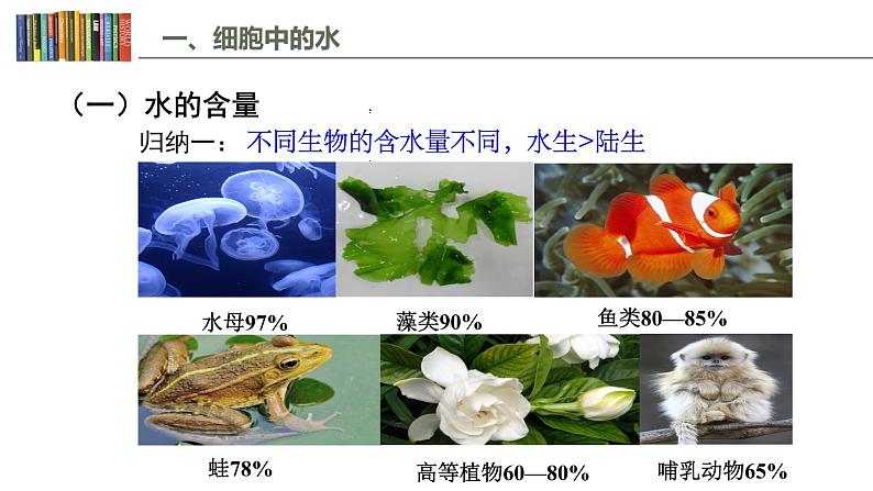 2.2 细胞中的无机物 课件03