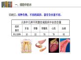 2.2 细胞中的无机物 课件