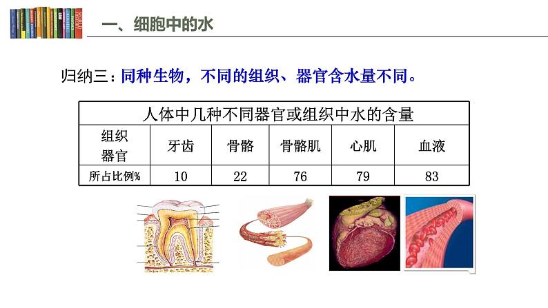 2.2 细胞中的无机物 课件05