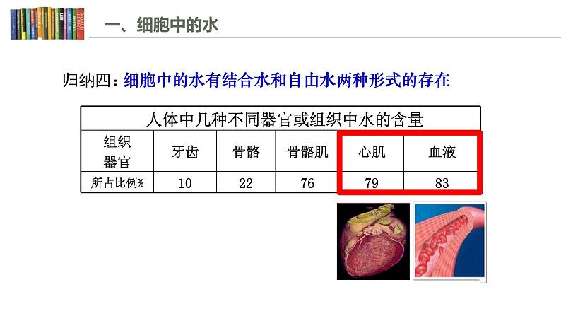 2.2 细胞中的无机物 课件06