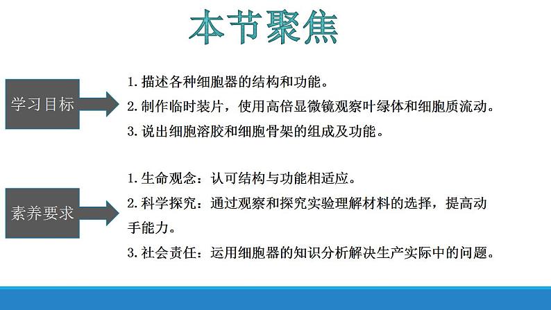 2.3 细胞质是多项生命活动的场所-【高效备课】2022-2023学年高一生物同步备课优质课件（浙科版2019必修1）03