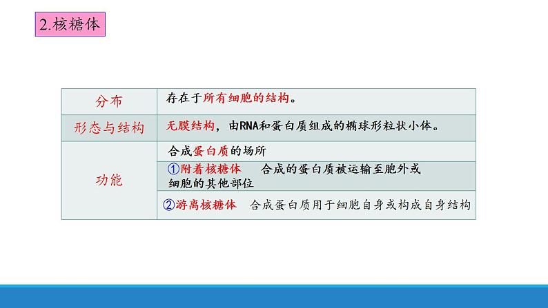 2.3 细胞质是多项生命活动的场所-【高效备课】2022-2023学年高一生物同步备课优质课件（浙科版2019必修1）06