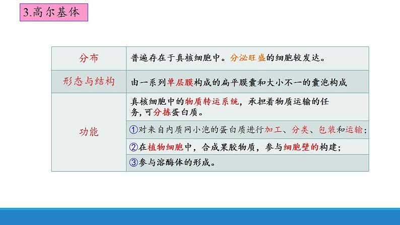 2.3 细胞质是多项生命活动的场所-【高效备课】2022-2023学年高一生物同步备课优质课件（浙科版2019必修1）08