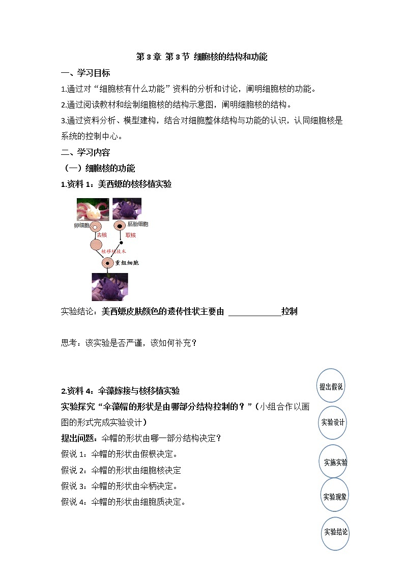 高一上学期生物人教版必修1 3.3细胞核的结构和功能学案第1页
