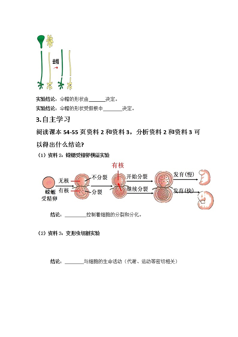 高一上学期生物人教版必修1 3.3细胞核的结构和功能学案第2页
