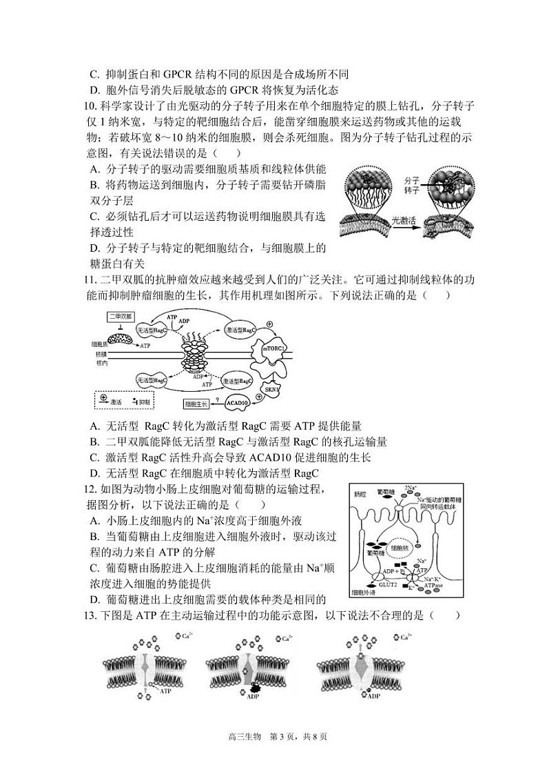 安徽省合肥市第一中学2022-2023学年高三上学期11月月考生物试题第3页