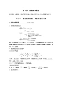 高中生物2022年高考生物一轮复习 第1单元 第3讲　蛋白质和核酸