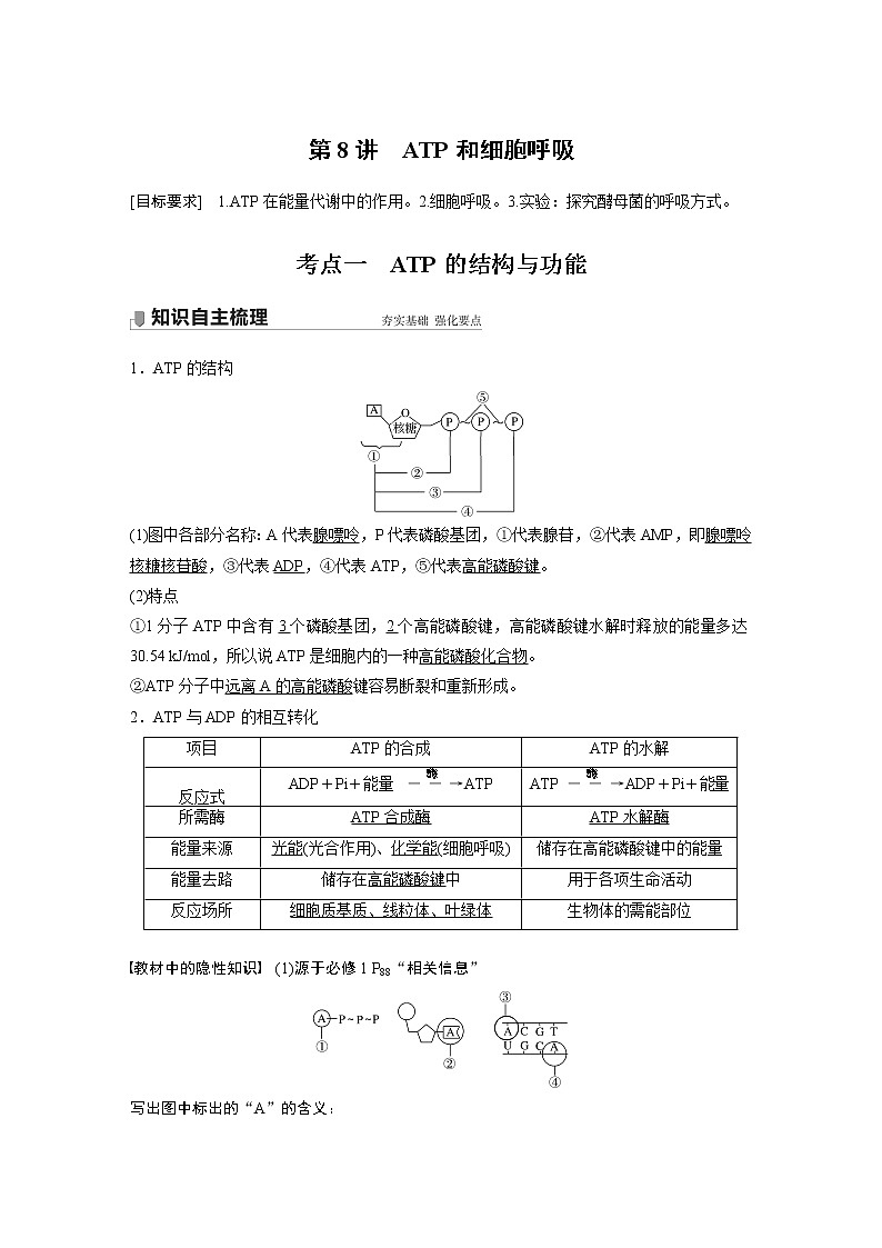 高中生物2022年高考生物一轮复习 第3单元 第8讲　ATP和细胞呼吸第1页