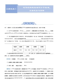 高中生物 （新高考）2021届高三大题优练5 遗传的细胞基础与分子基础、生物变异与育种 教师版