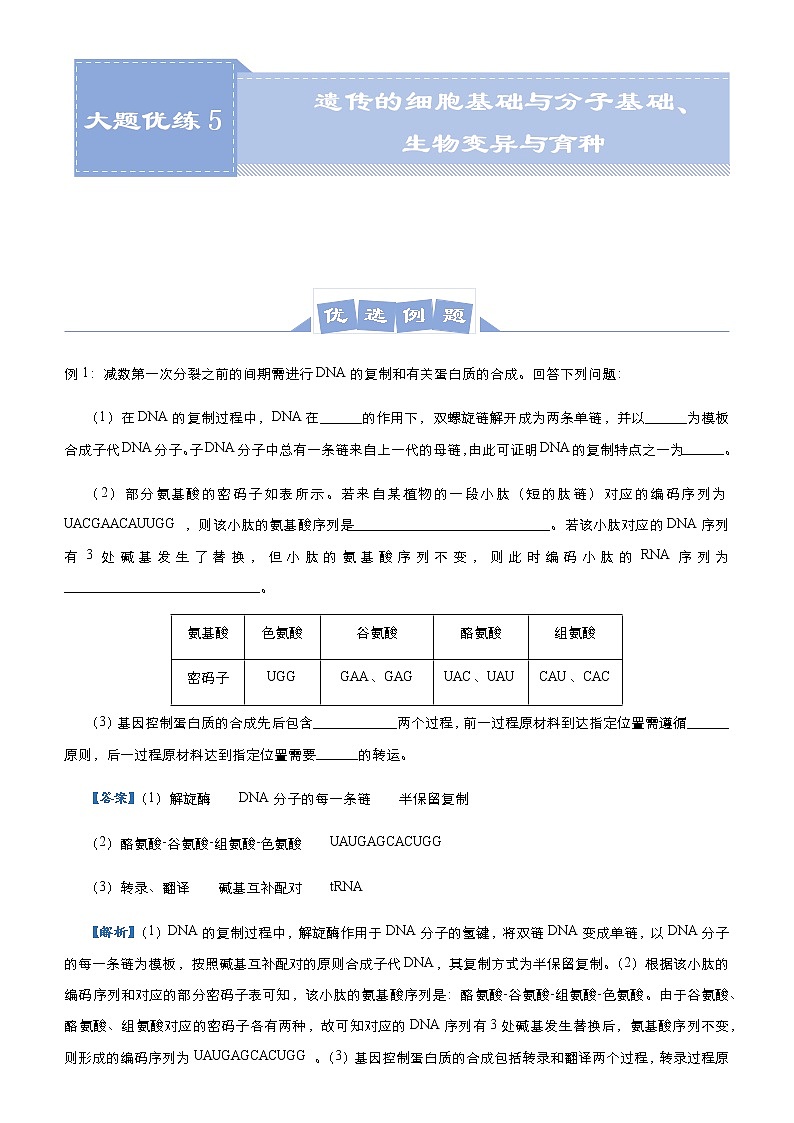 高中生物 （新高考）2021届高三大题优练5 遗传的细胞基础与分子基础、生物变异与育种 教师版第1页
