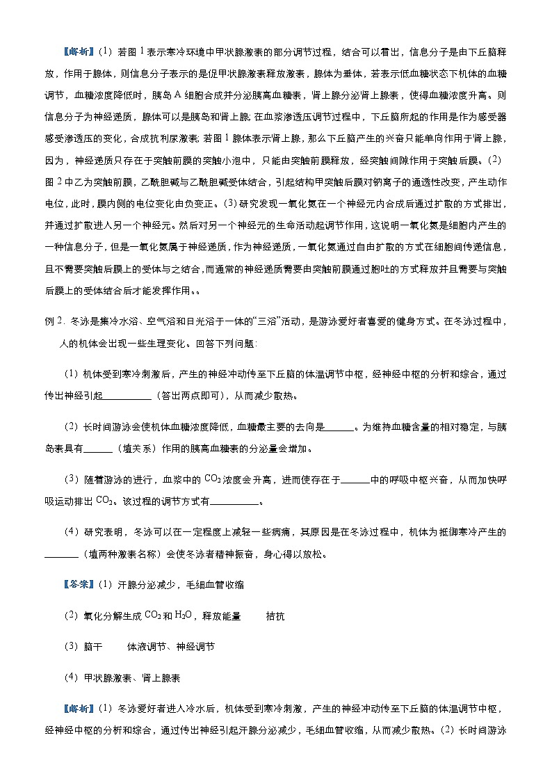 高中生物 （新高考）2021届高三大题优练7 神经调节、体液调节 教师版第2页