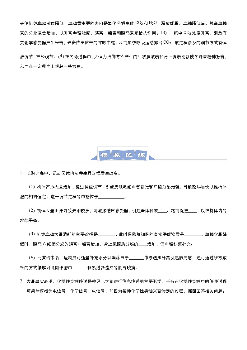 高中生物 （新高考）2021届高三大题优练7 神经调节、体液调节 学生版第3页