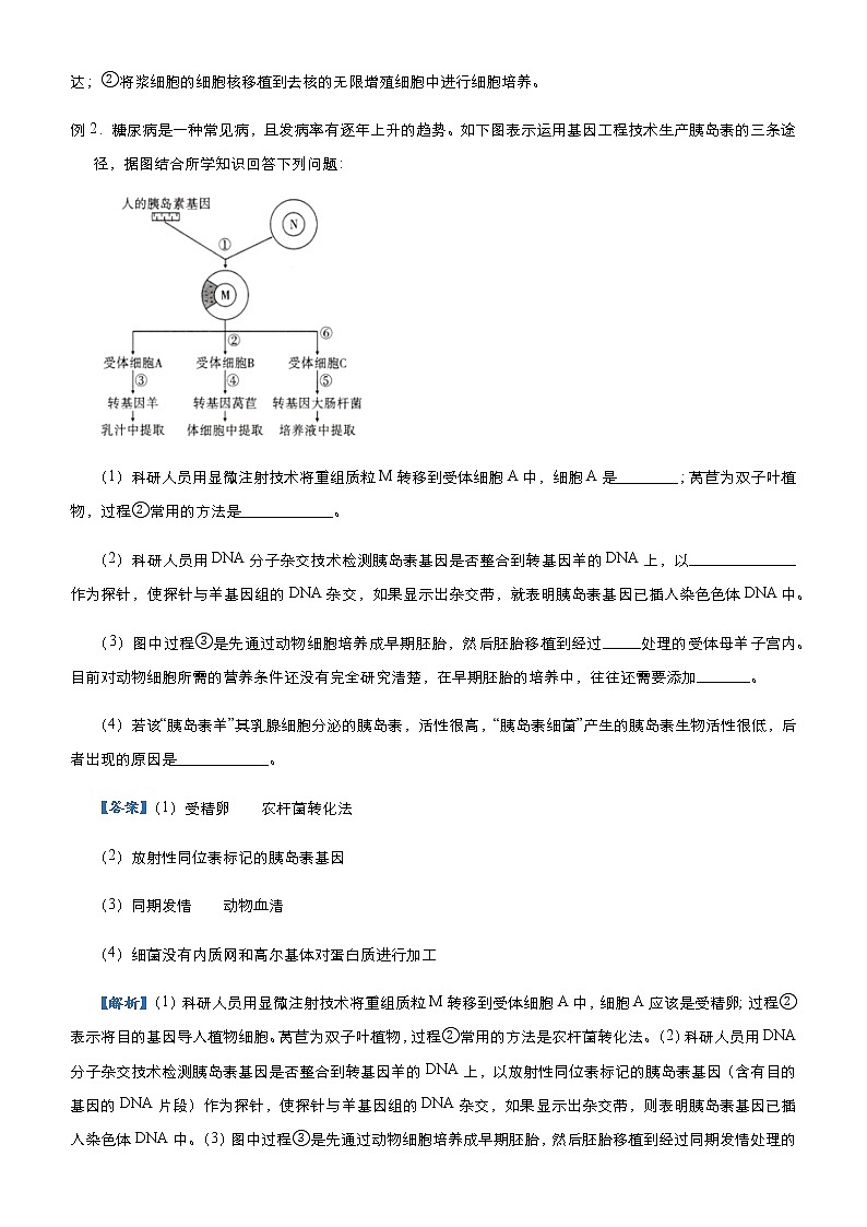 高中生物 （新高考）2021届高三大题优练12 细胞工程、基因工程 学生版第2页