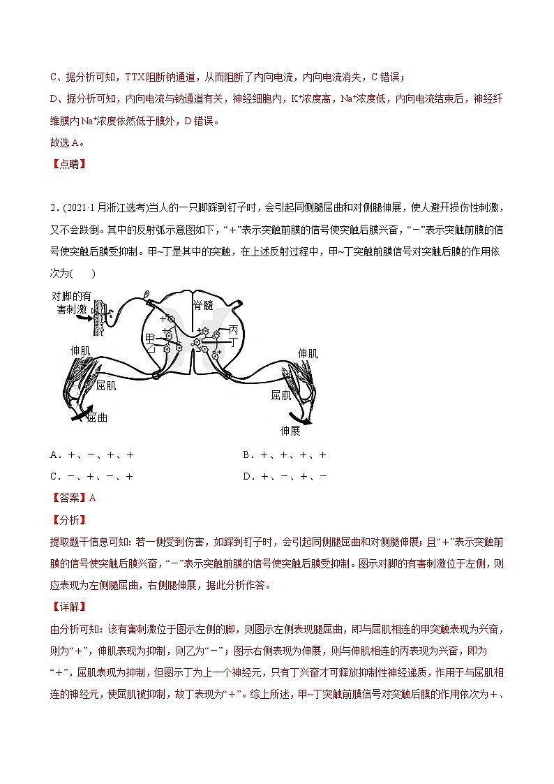 高中生物专题13 神经调节-2021年高考生物真题与模拟题分类训练（教师版含解析）第2页