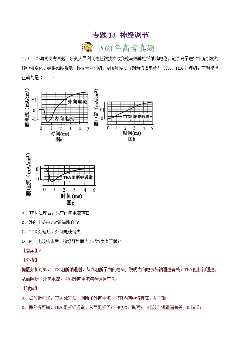 高中生物专题13 神经调节-2021年高考真题和模拟题生物分项汇编（有答案）第1页