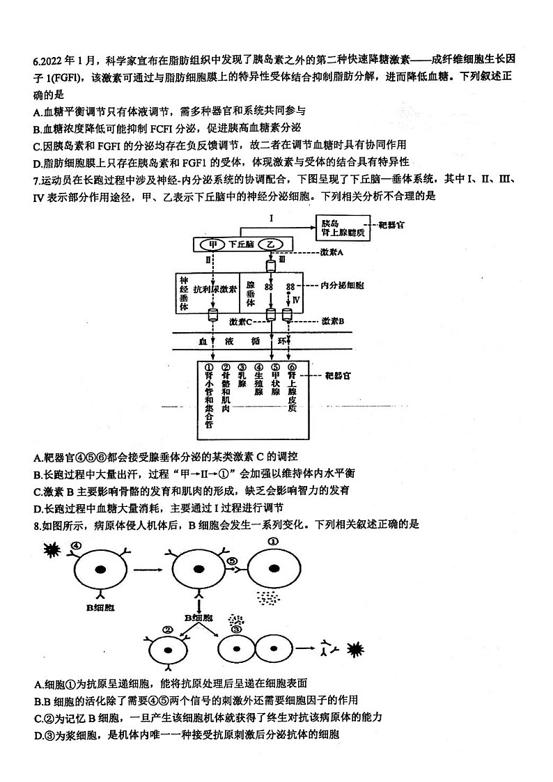 2023扬州高邮高二上学期11月期中考试生物试题含答案02