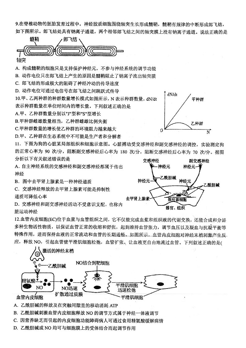 2023扬州高邮高二上学期11月期中考试生物试题含答案03
