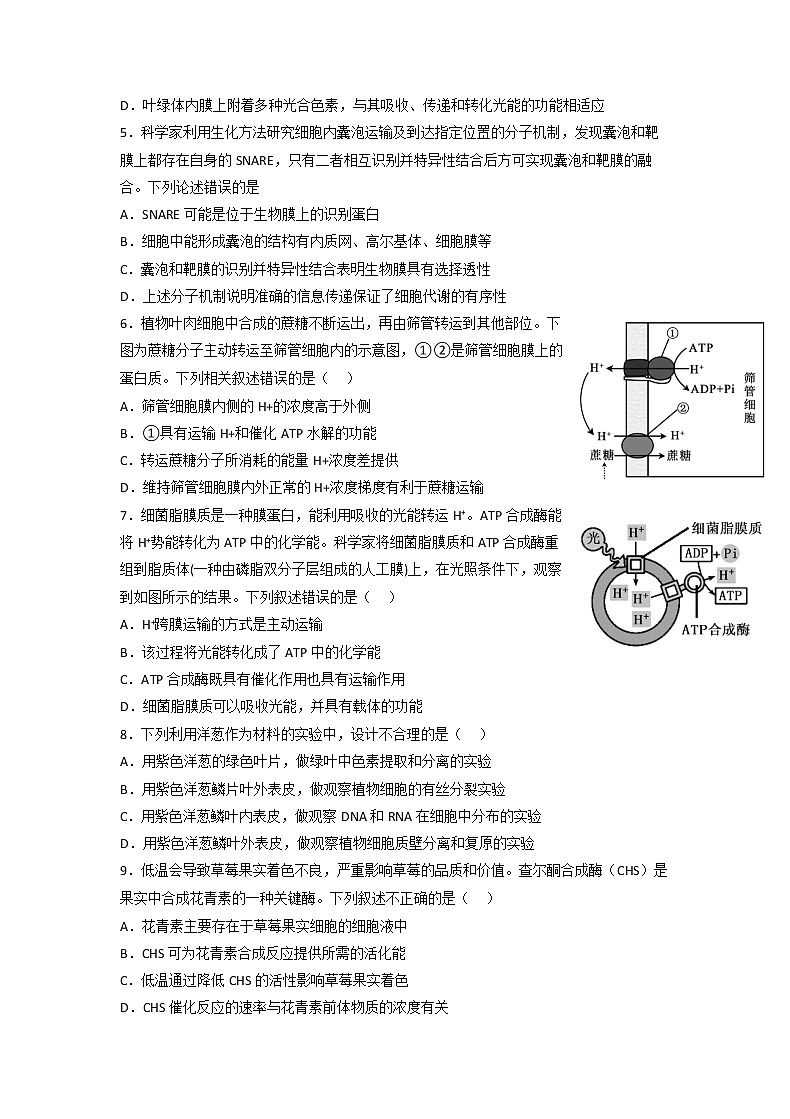 重庆市缙云教育联盟2022-2023学年高三生物上学期11月月度质量检测（Word版附解析）第2页