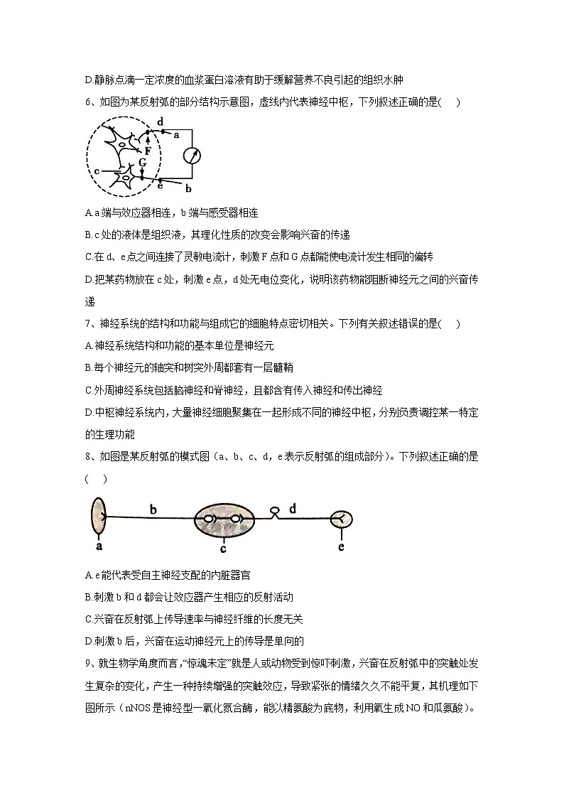 河南省周口市2022-2023学年高二生物上学期期中质量检测试题（Word版附解析）03