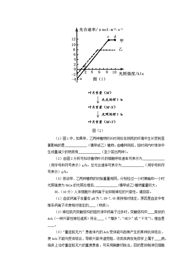 高中生物2019年高考生物名校考前提分仿真试卷（七）（含解析）第3页