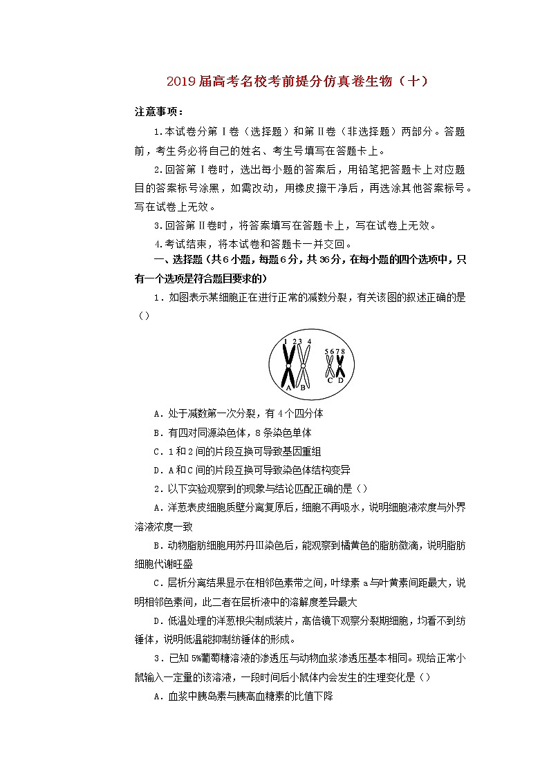 高中生物2019年高考生物名校考前提分仿真试卷（十）（含解析）第1页