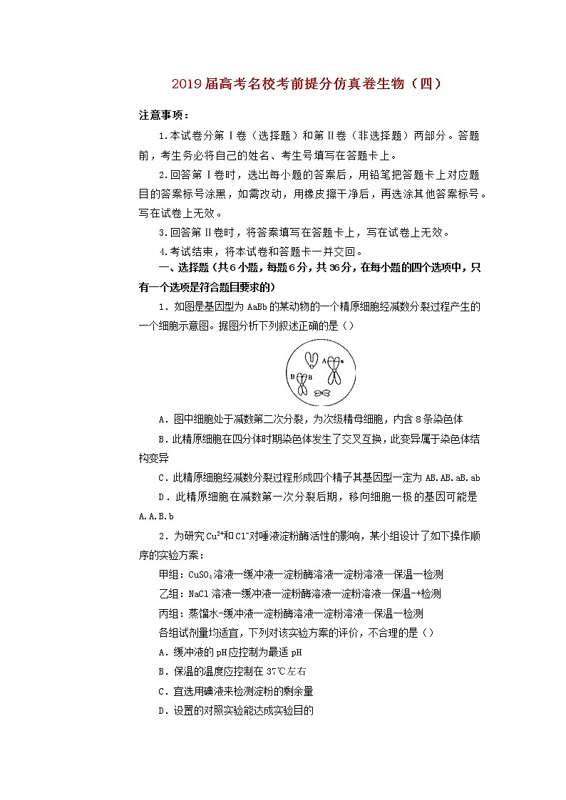 高中生物2019年高考生物名校考前提分仿真试卷（四）（含解析）第1页
