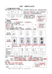 高中生物2021年高考二轮生物复习知识清单：05细胞的生命历程