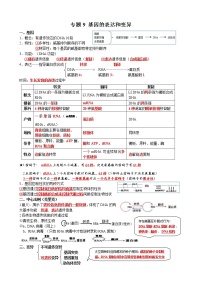 高中生物2021年高考二轮生物复习知识清单：09基因表达和变异